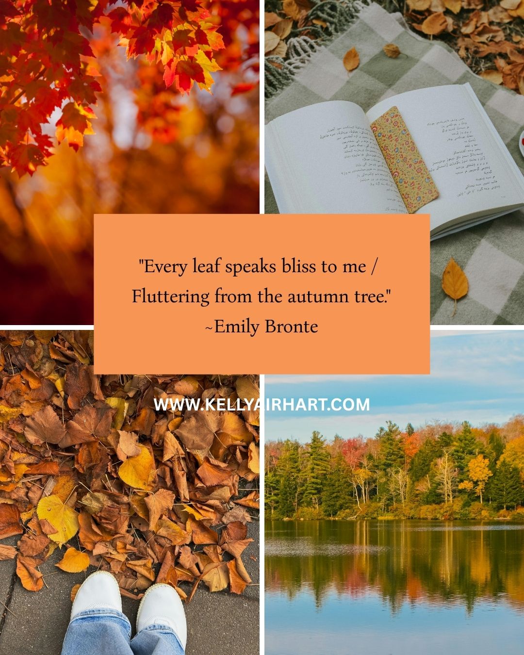 Happy Fall Y'all